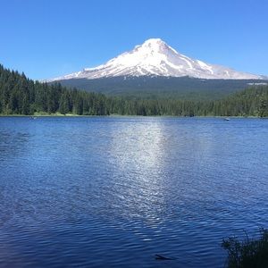 Meet your Posher, Brylie